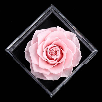 Preserved Real Pink Rose with Love You Necklace in 100 Languages Gift Set, Enchanted Real Rose Flower for Valentine'S Day Anniversary Wedding Bthday Romantic Gifts for Her (Pink Rose) - FASHIST